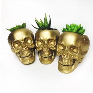💀🖤☠️ DISO 💀 SKULL 💀 Decor {& More} ☠️🖤💀